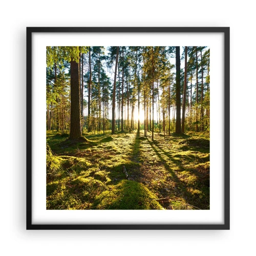 Poster in black frame - Deep in the Forest - 50x50 cm