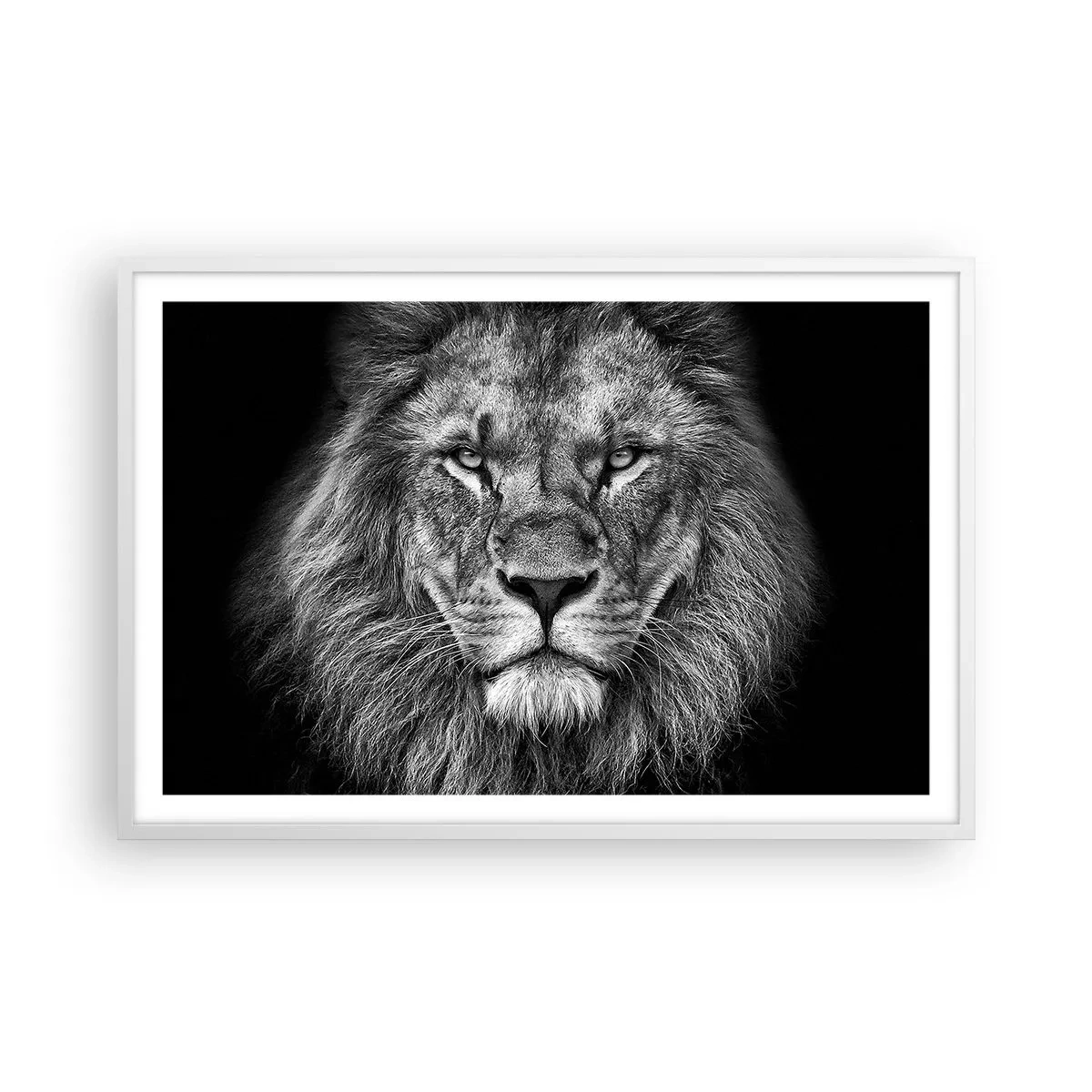 Poster in white frmae - In Coronation Clothes - 91x61 cm