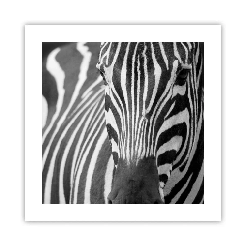 Poster - World Is Black and White - 40x40 cm