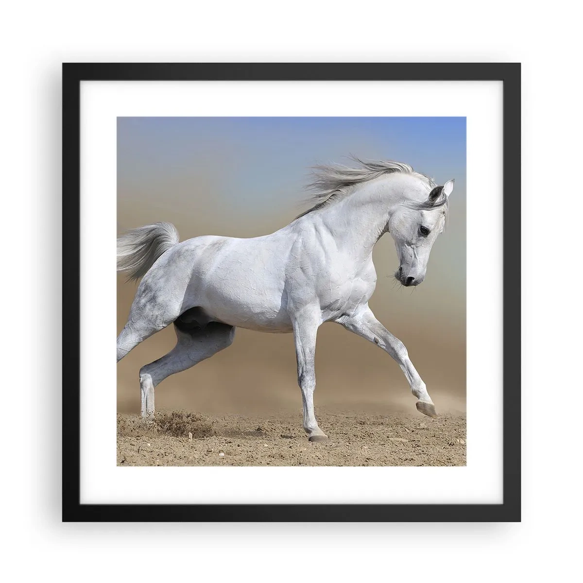 Poster in black frame - The Most Beautiful Arabic Tale - 40x40 cm