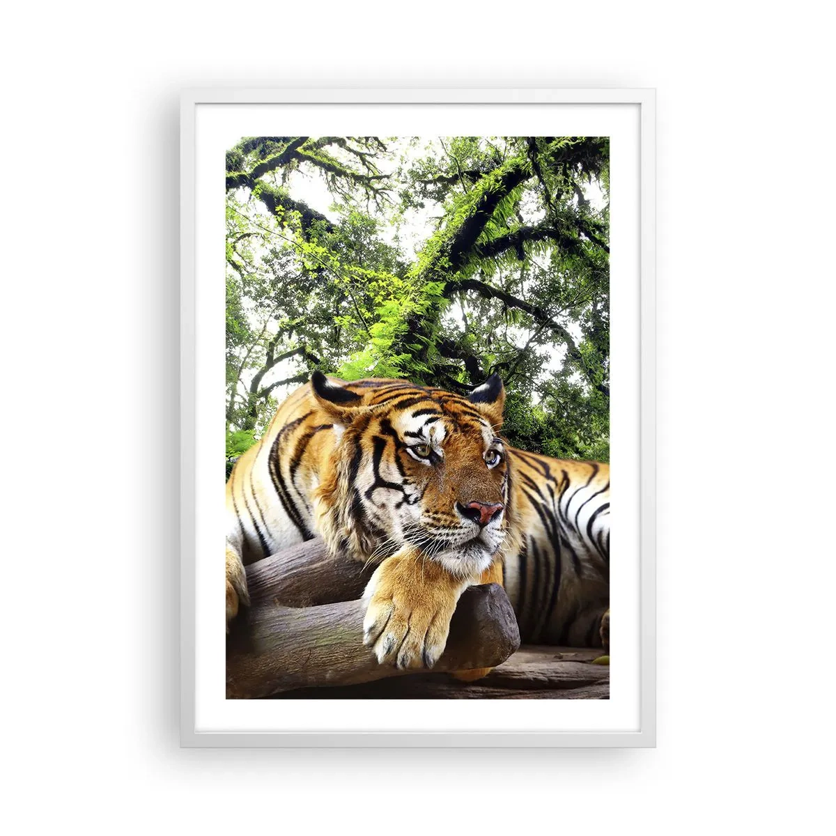 Poster in white frmae - Best Regards - 50x70 cm