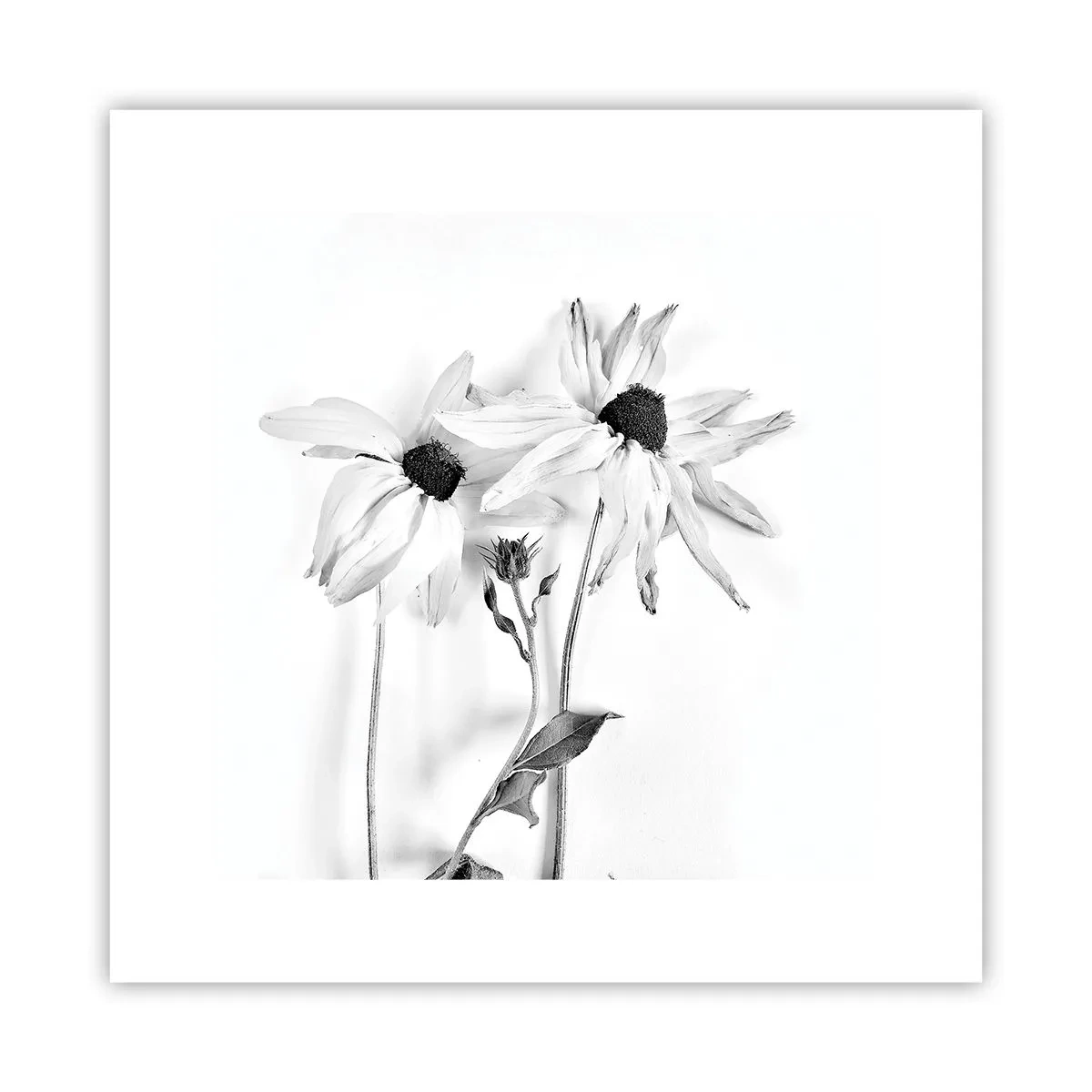 Poster - No one Wants To Be Alone - 30x30 cm