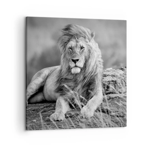 Canvas picture - Royal Siesta - 50x50 cm