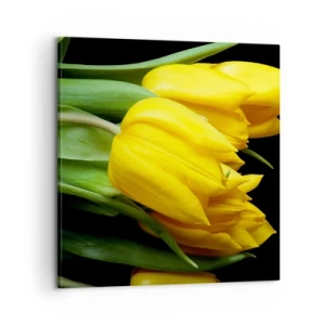 Canvas picture - Born from the Sun - 60x60 cm