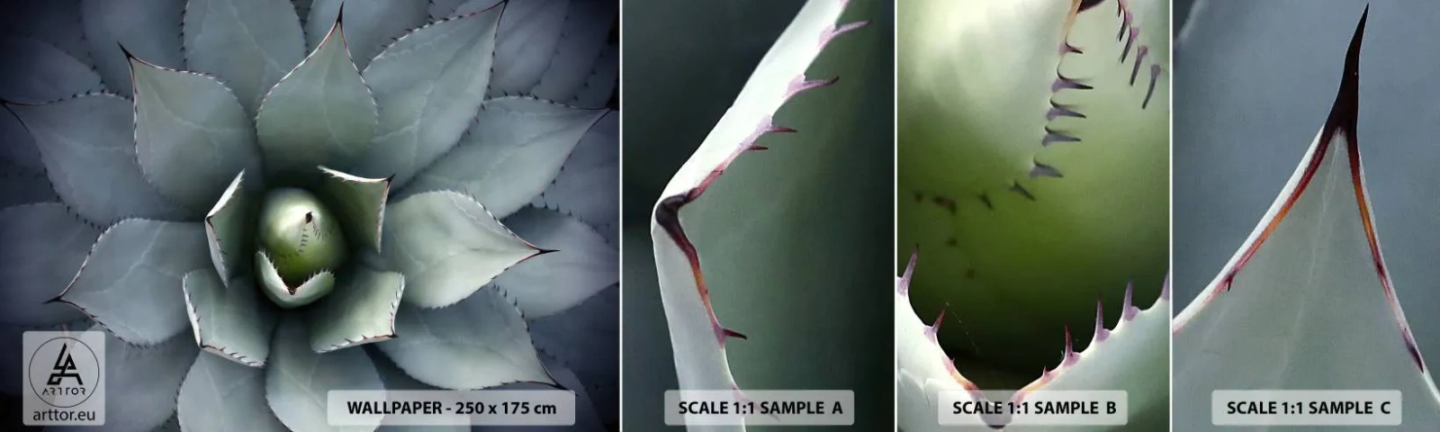 Photo Wallpaper Sample Self-Adhesive Deluxe Sticker - Attracts and Warns - Agave flower, Agave, Exoticism - 100x30 cm