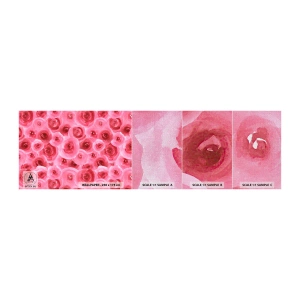 Photo Wallpaper Sample Premium Canvas - Roses at the Bottom and at the Top - Flowers, Beauty, Romanticism - 100x30 cm