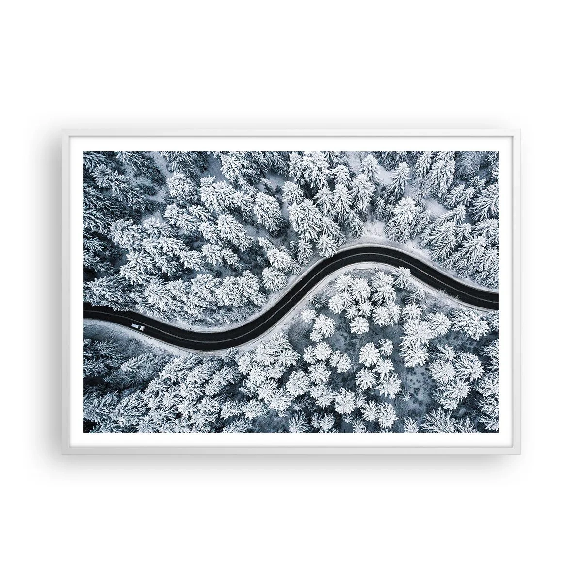 Poster in white frmae - Through Wintery Forest - 100x70 cm