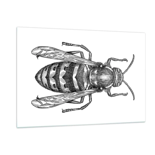 Glass picture - From Insect Planet - 120x80 cm