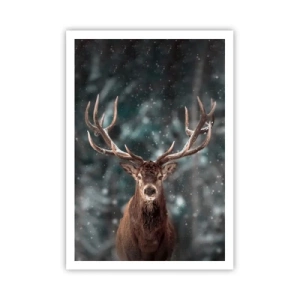 Poster - King of Forest Crowned - 70x100 cm