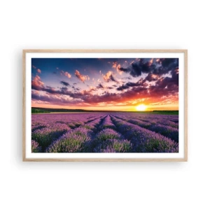Poster in light oak frame - Lavender World - 91x61 cm