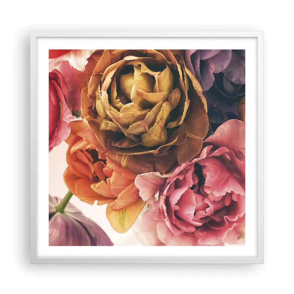 Poster in white frmae - Celebration of Life - 60x60 cm