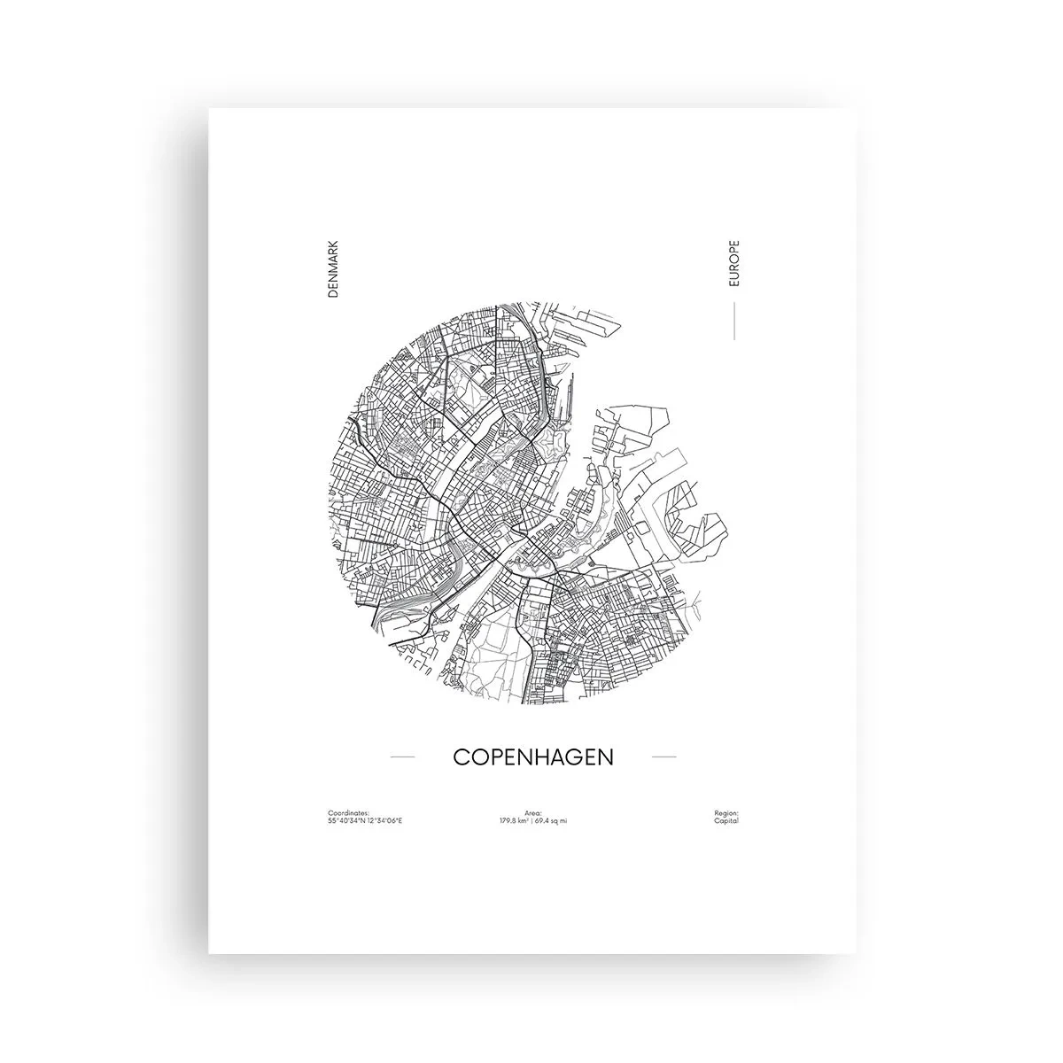 Poster - Anatomy of Copenhagen - 30x40 cm