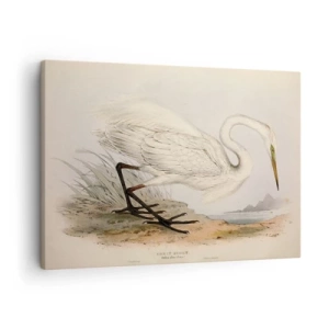 Canvas picture - Drawing of a white heron against a natural landscape background - 70x50cm - Lady on the Marsh - Modern wall decoration for the living room and bedroom ARTTOR