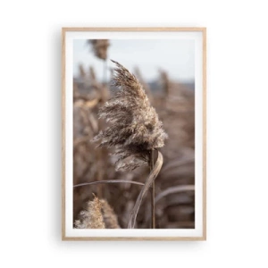 Poster in light oak frame - Time to Fly with the Wind - 61x91 cm