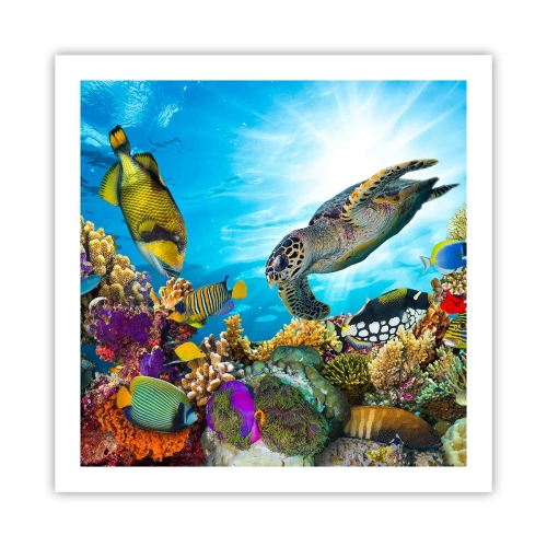 Poster - Coral Promenade - 60x60 cm