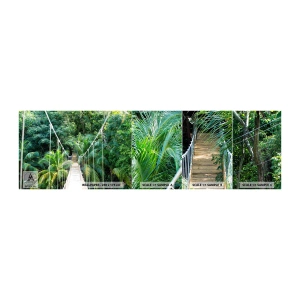 Photo Wallpaper Sample Self-Adhesive Deluxe Sticker - Welcome to the Jungle! - Landscape, Jungle, Honduras - 100x30 cm