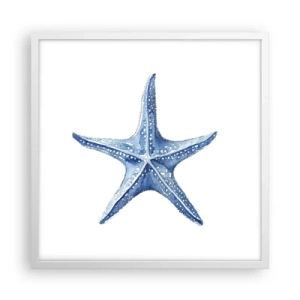 Poster in white frmae - Sea Star - 50x50 cm