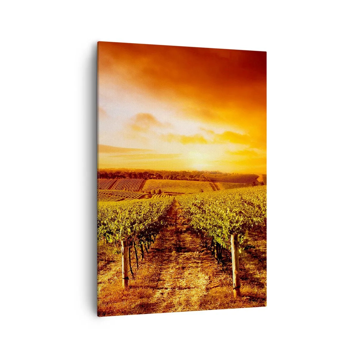 Canvas picture - Delicatly Fruity with a Note of the Sun - 70x100 cm