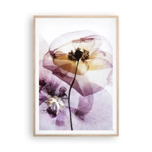 Poster in light oak frame - Flower Body Slide - 70x100 cm