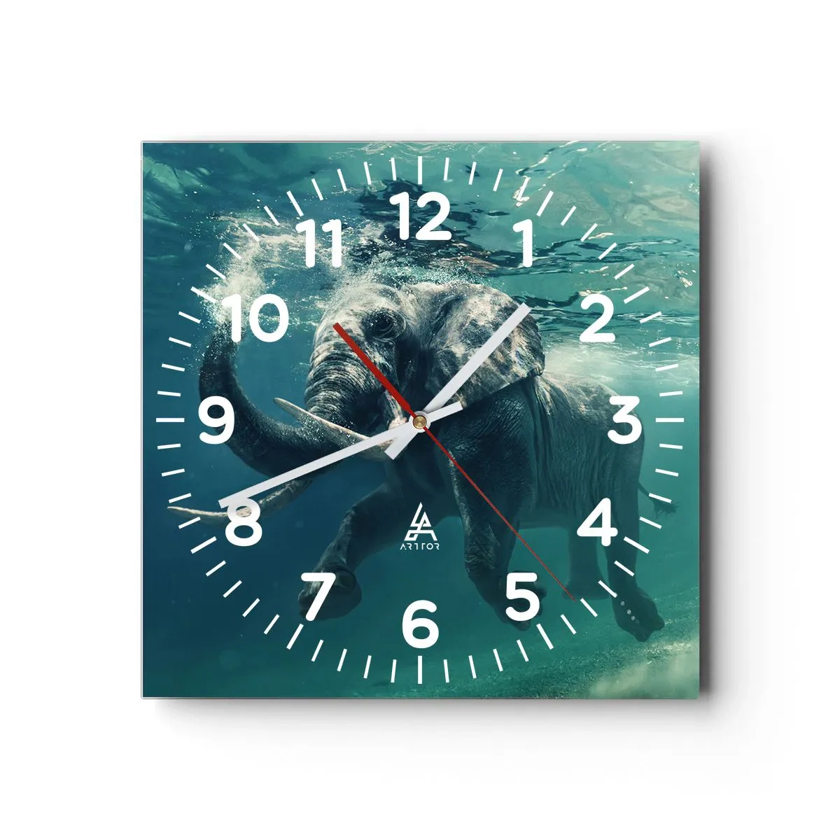 Wall clock - Clock on glass - Everyone Likes to Swim - 40x40 cm