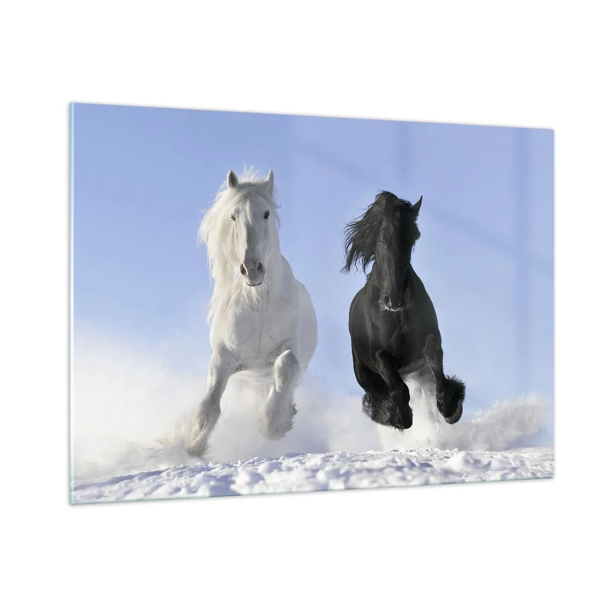 Glass picture - Black and White Gallop - 100x70 cm