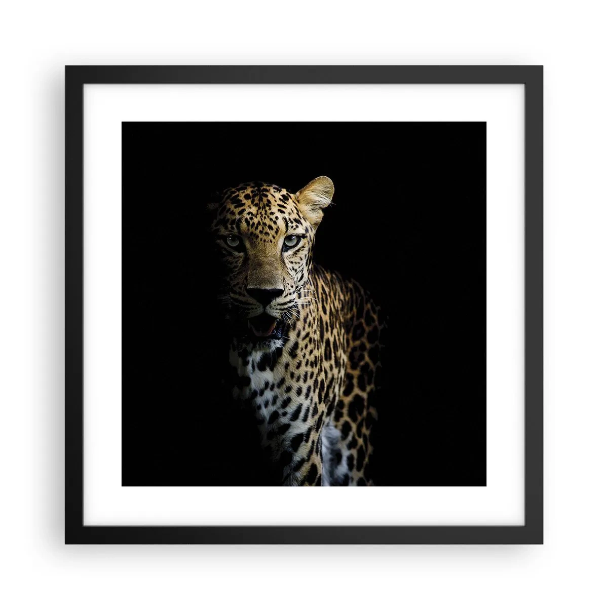 Poster in black frame - Dark Beauty - 40x40 cm