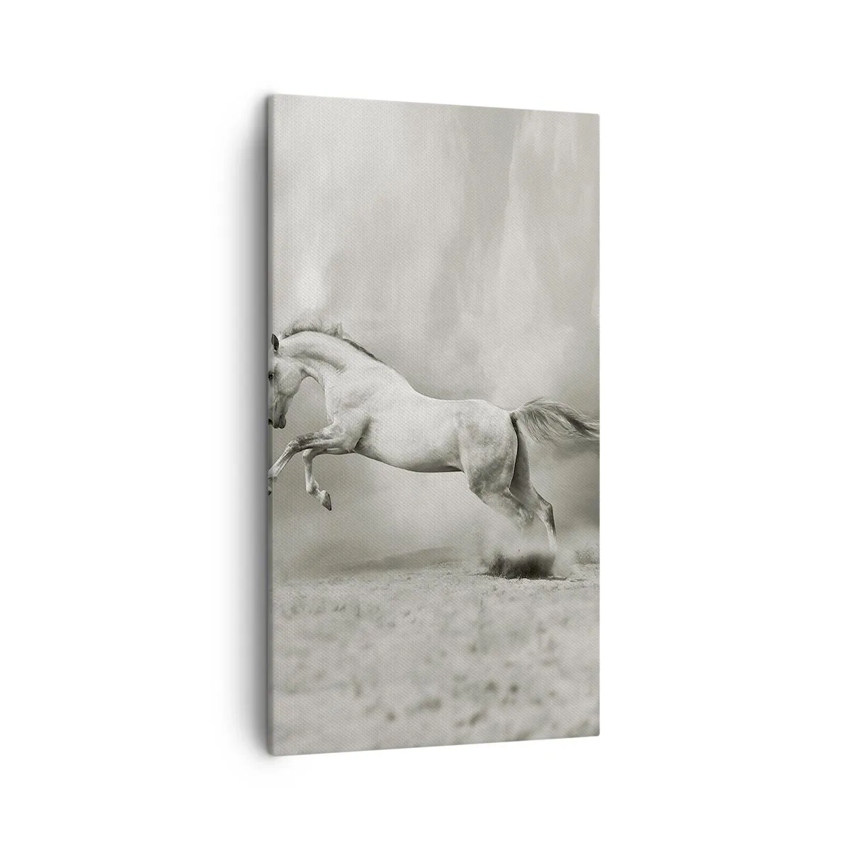 Canvas picture - Between Dream and Reality - 45x80 cm