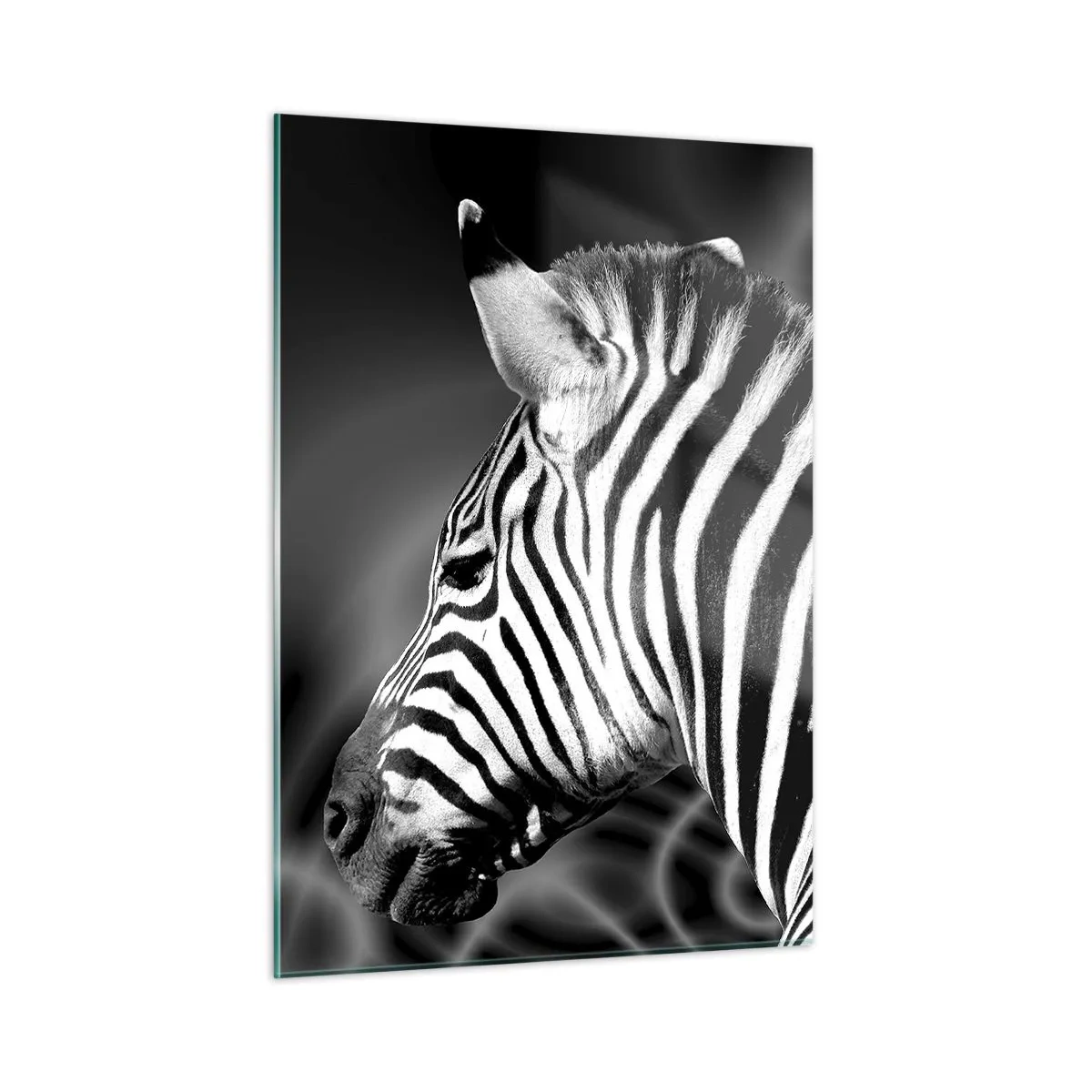 Glass picture - White Is White, and Black Is Black - 50x70 cm