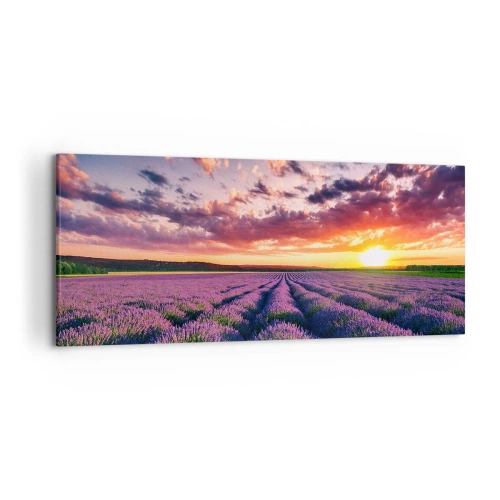 Canvas picture - Lavender World - 120x50 cm