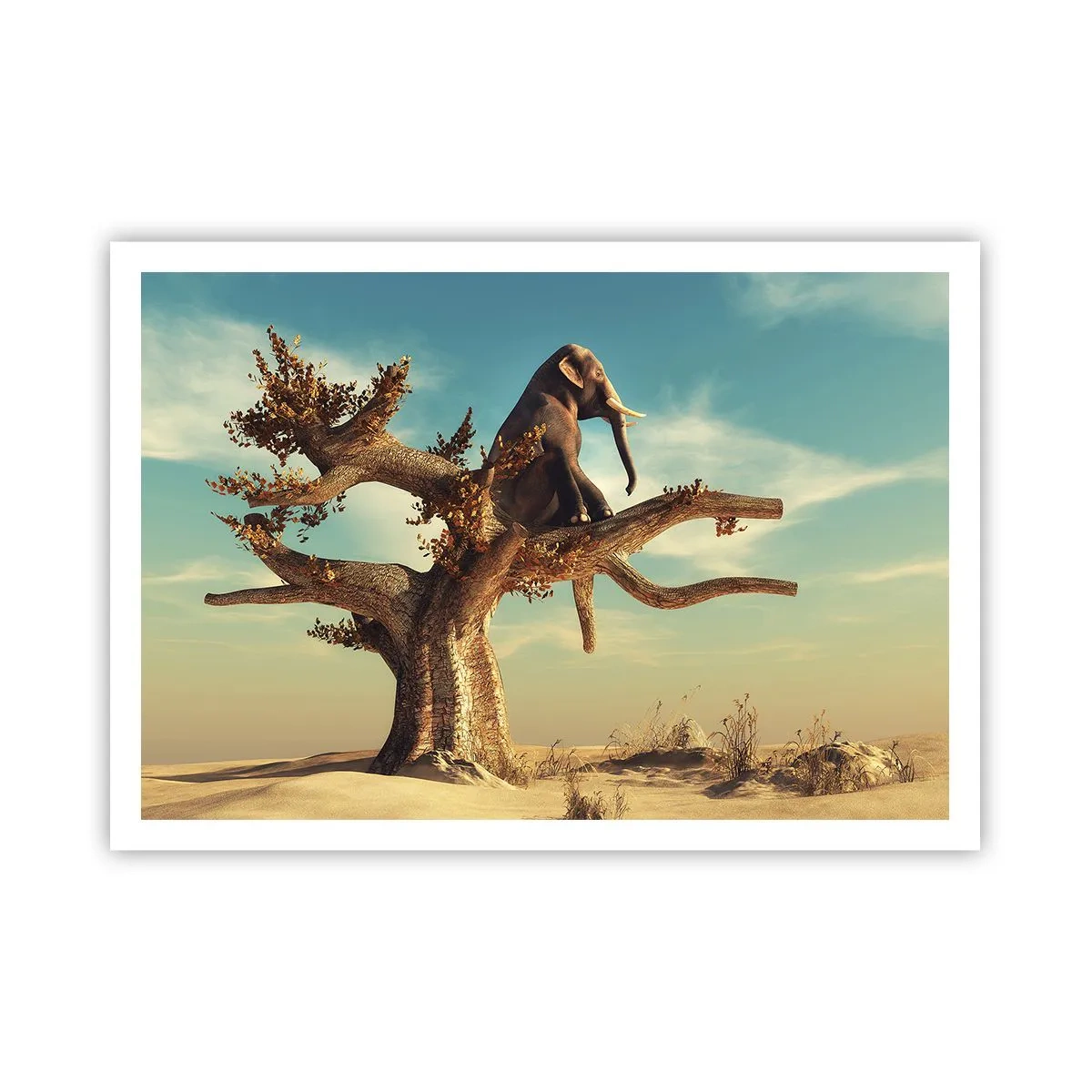 Poster - New Point of View - 100x70 cm