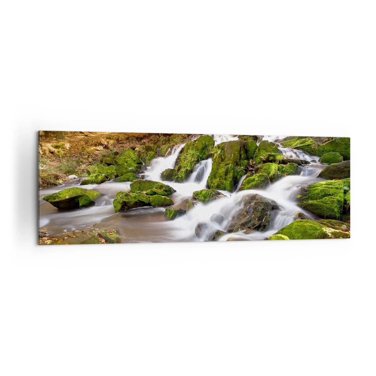Canvas picture - Gingerly through an Autumnal Forest - 160x50 cm