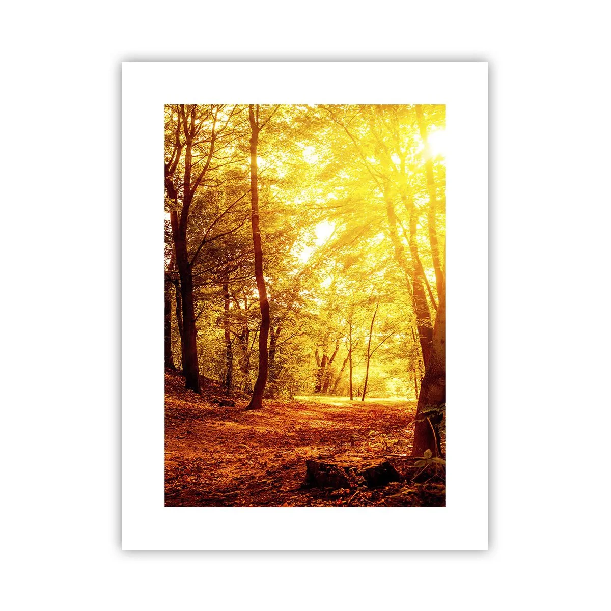 Poster - Towards Golden Plain - 30x40 cm
