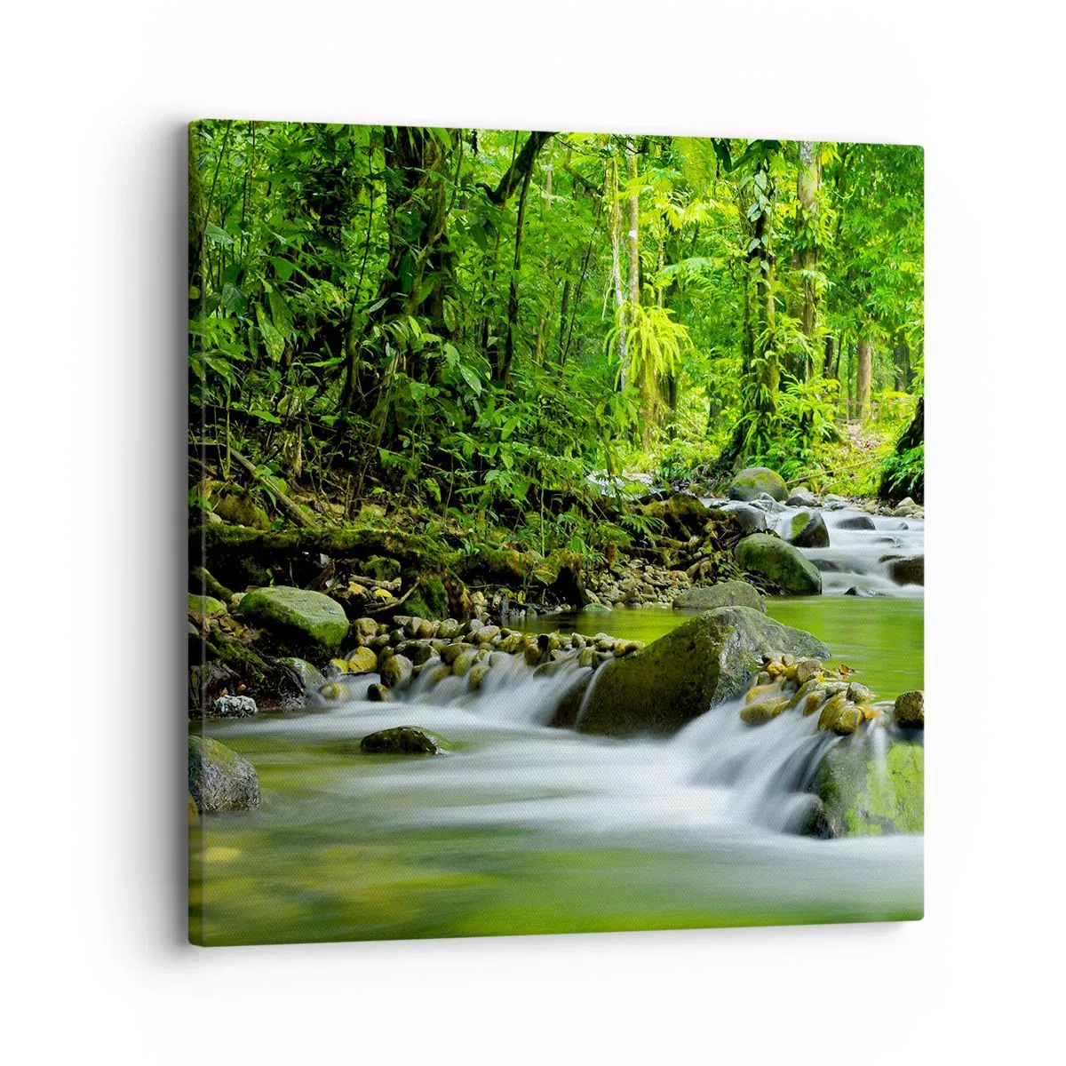 Canvas picture - Swimming in the Sea of Green - 30x30 cm
