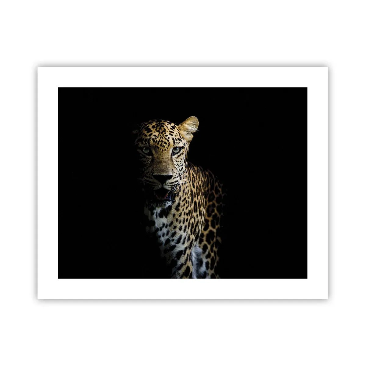 Poster - Dark Beauty - 50x40 cm