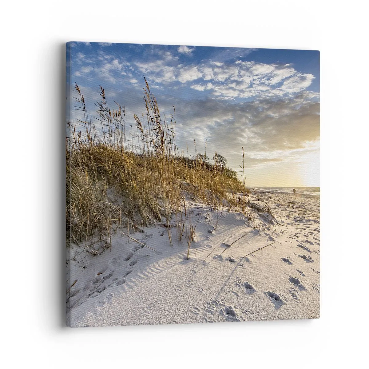 Canvas picture - Invitation to a Walk - 40x40 cm