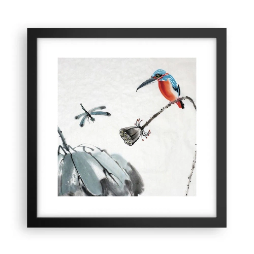 Poster in black frame - Life of a Meadow - 30x30 cm