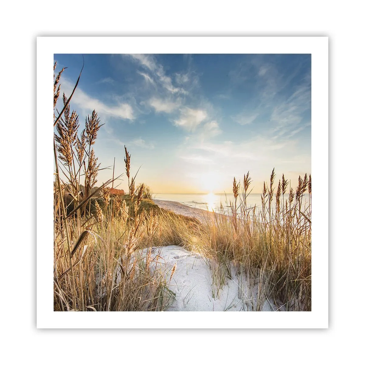 Poster - Northern Beach - 60x60 cm