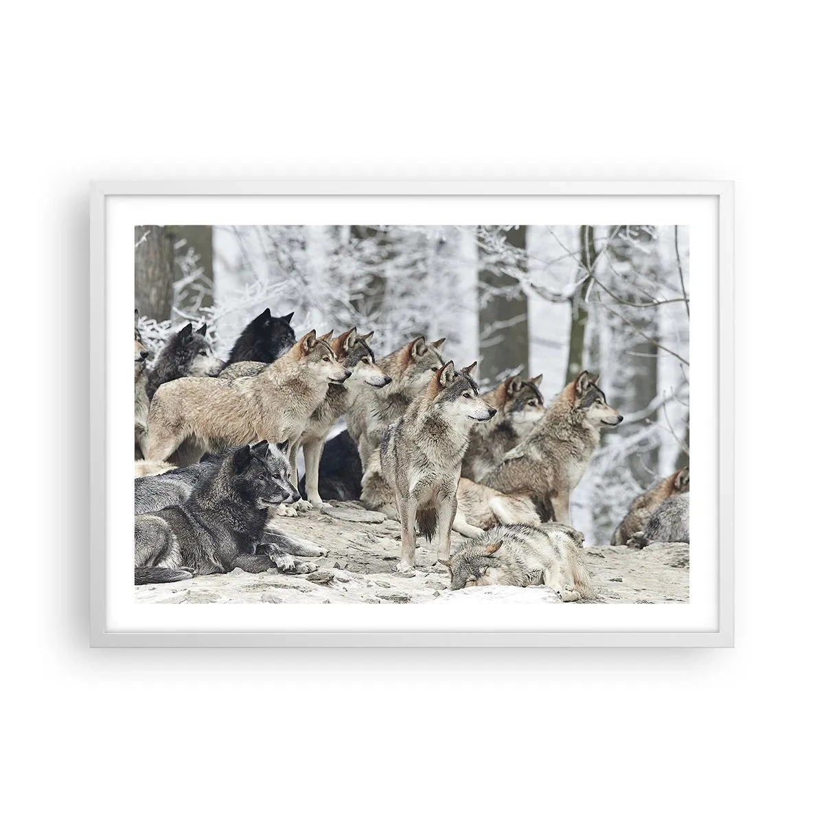 Poster in white frmae - Family and Friends - 70x50 cm