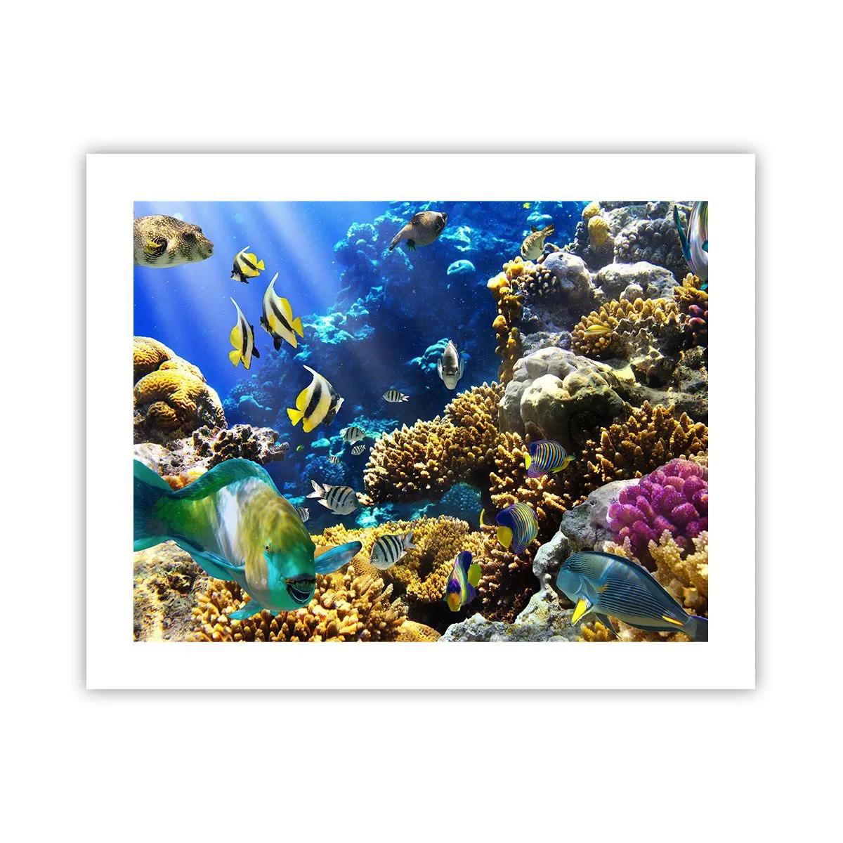 Poster - Big Traffic to Holiday Destination - 50x40 cm