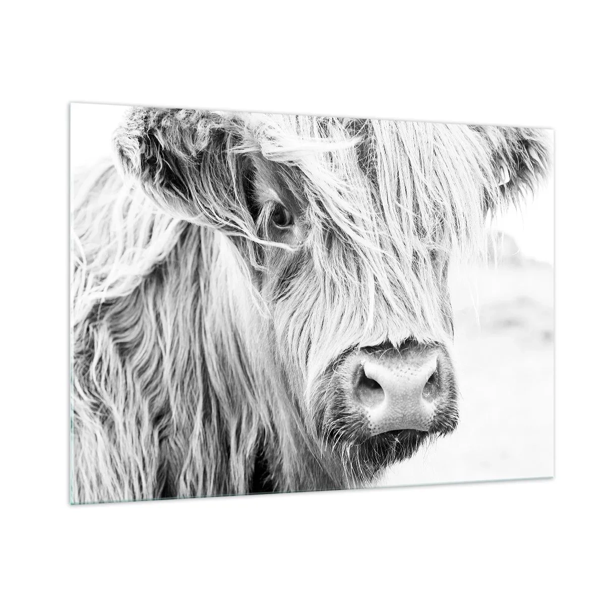 Glass picture - Scottish Wilderness - 100x70 cm