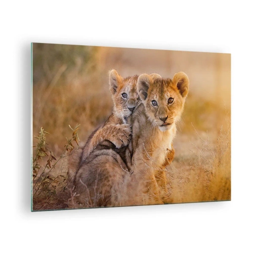 Glass picture - Two young lion cubs in a natural savannah setting - 70x50cm - Do Not Disturb! We Are Playing - Modern wall decoration for the living room and bedroom ARTTOR