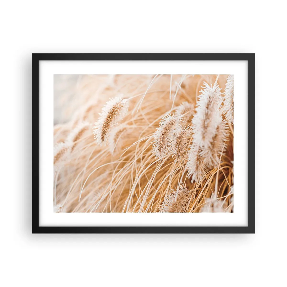 Poster in black frame - Golden Rustling of Grass - 50x40 cm