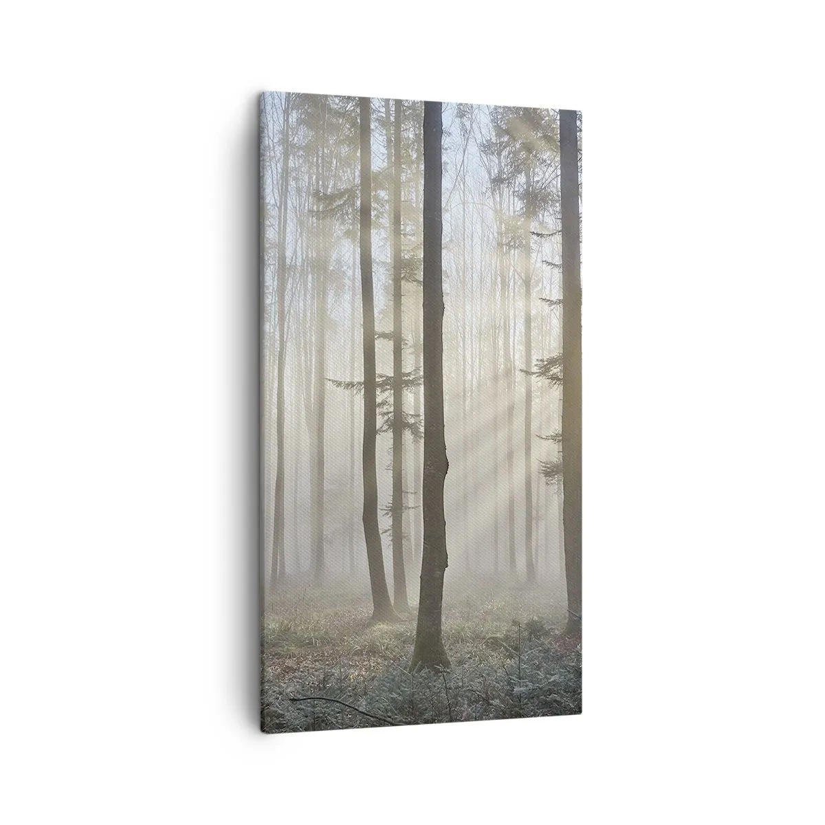Canvas picture - Fog Has Woken up Too - 45x80 cm