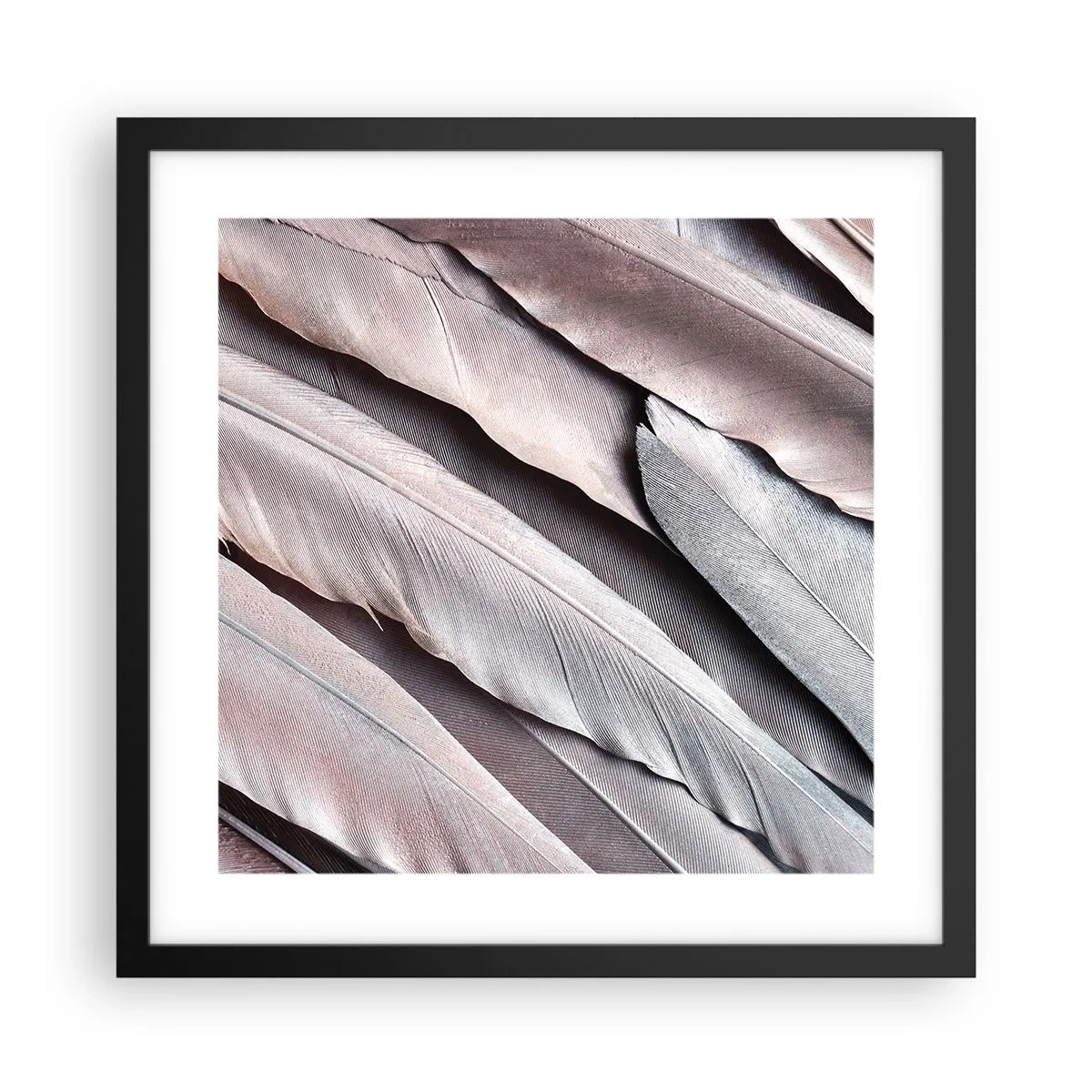 Poster in black frame - In Pink Silverness - 40x40 cm