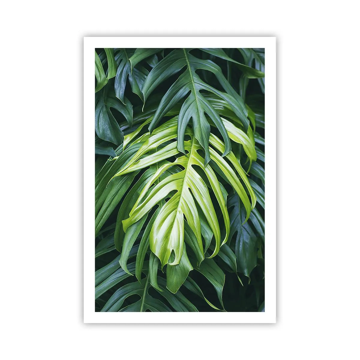 Poster - Immerse Yourself in Freshness - 61x91 cm