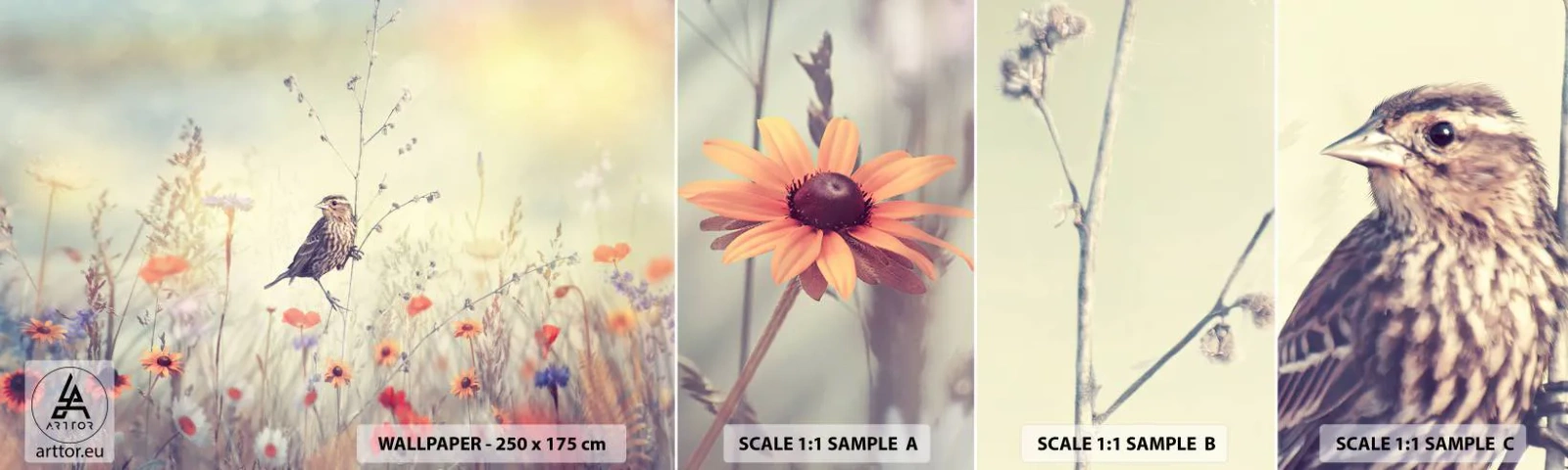 Photo Wallpaper Sample Standard Eco - Bird Portrait with a Meadow in the Background - Bird, Meadow, Nature - 100x30 cm