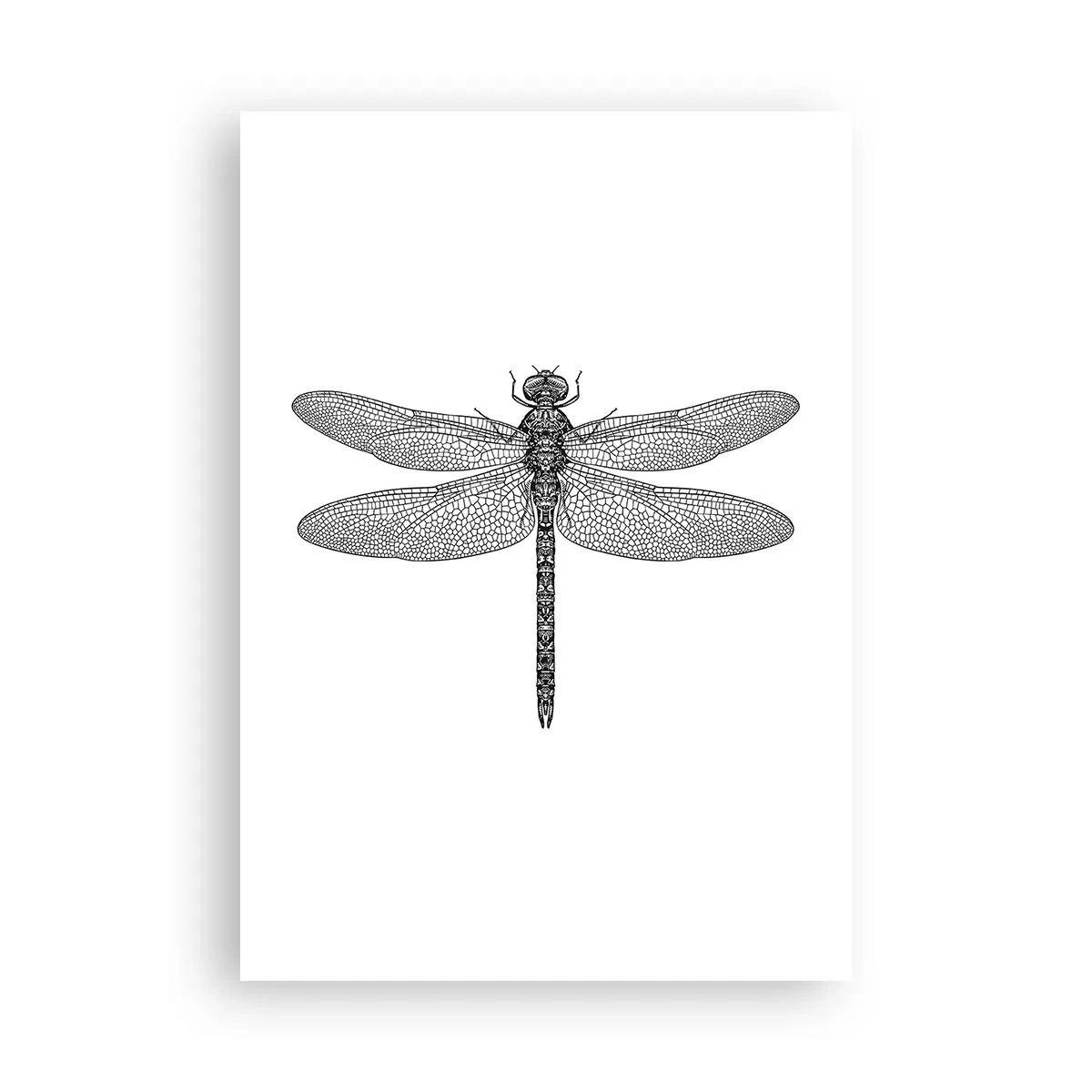 Poster - Precision of Nature - 70x100 cm