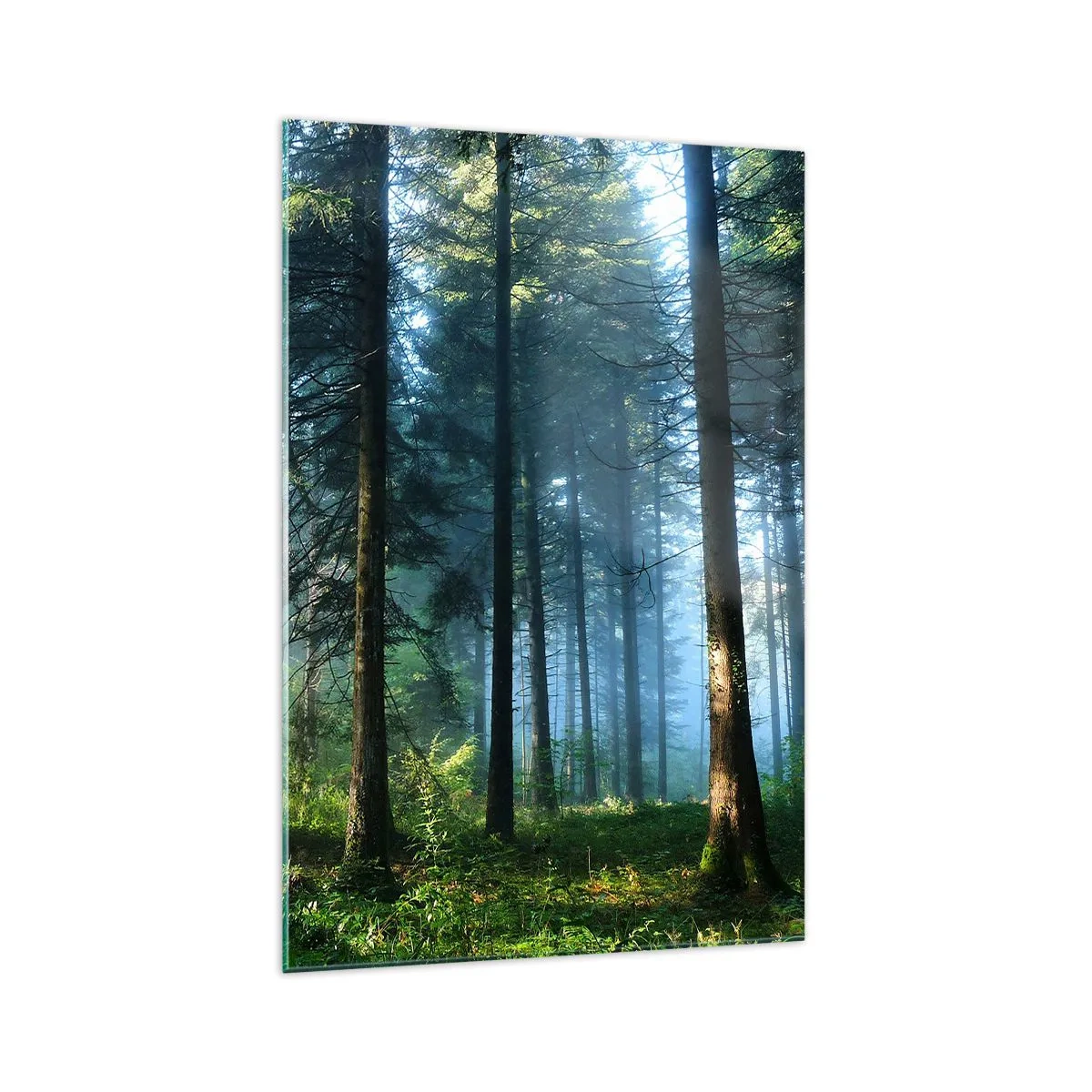 Glass picture - Radiant at Dawn - 70x100 cm