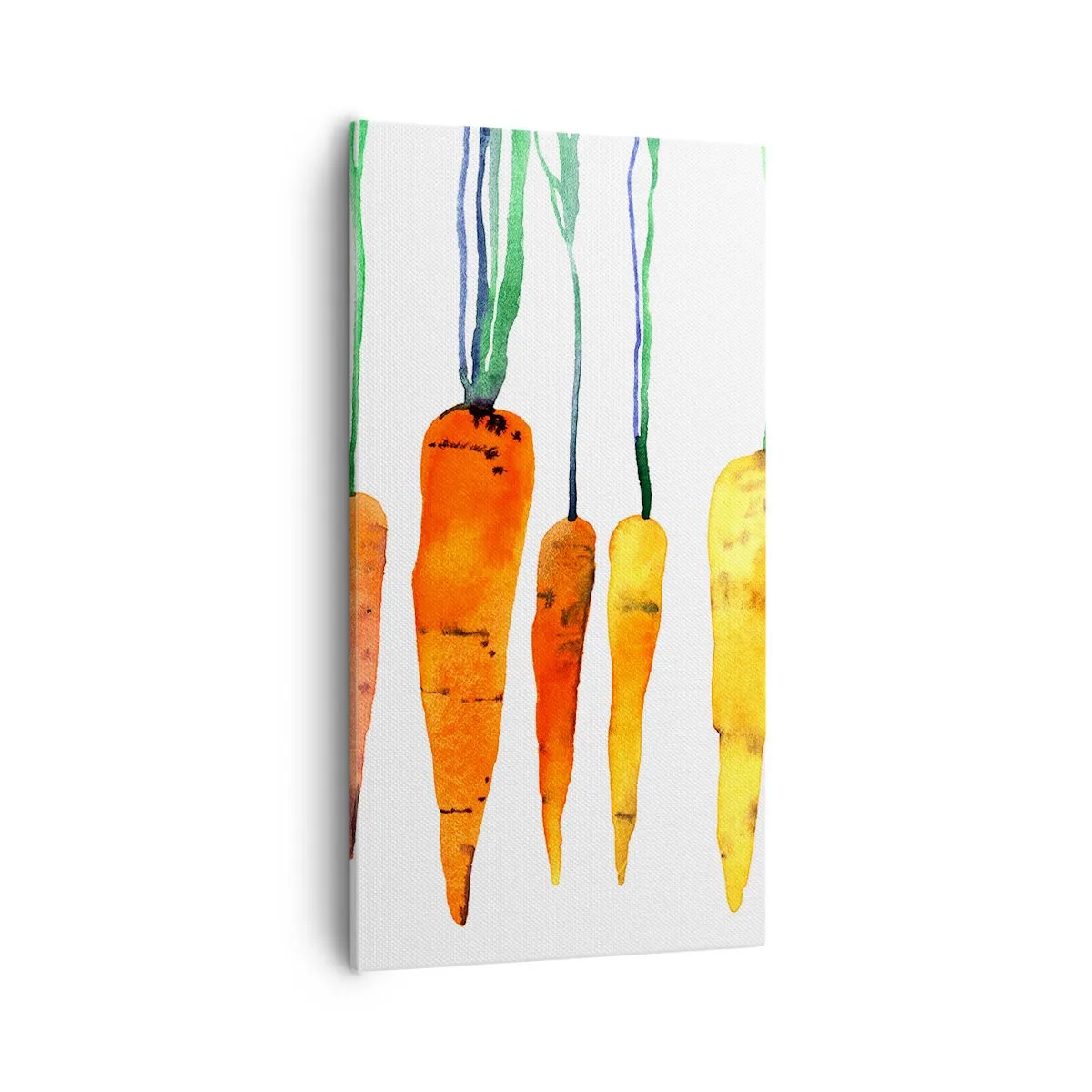Canvas picture - Beauty of Common Carrot - 55x100 cm