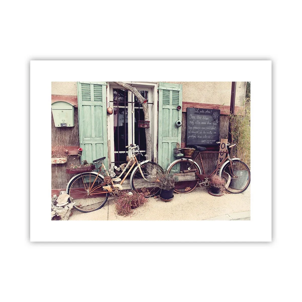 Poster - Long Live Province - 40x30 cm